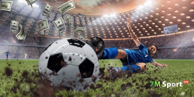 Tổng hợp những câu hỏi phổ biến về hệ thống 7M 7MCN 7M CN